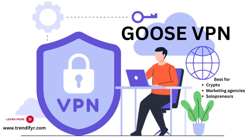 GOOSE VPN Review: Secure, Anonymous Browsing with Global Server Access